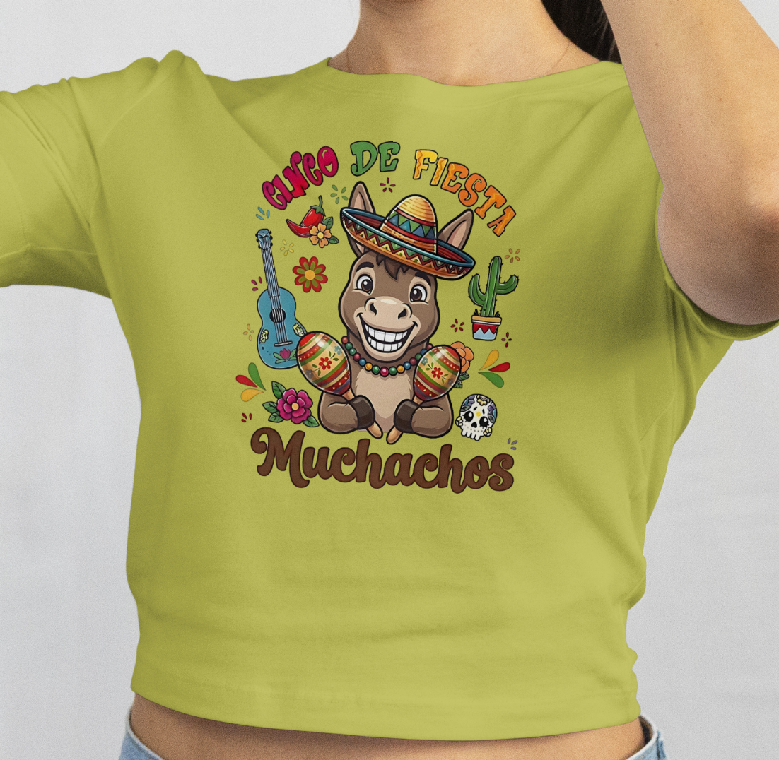 Cute Donkey Cinco de Mayo PNG