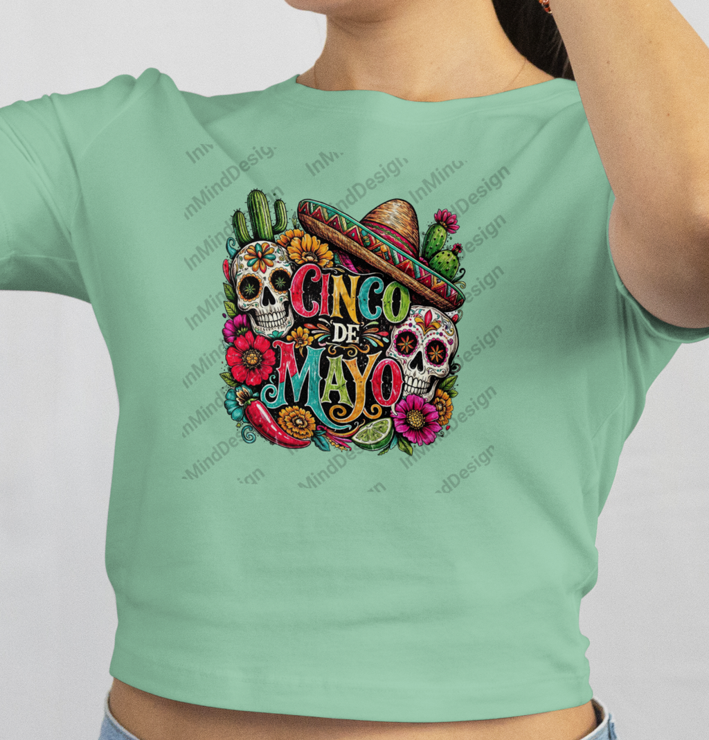 Cinco de Mayo Fiesta PNG