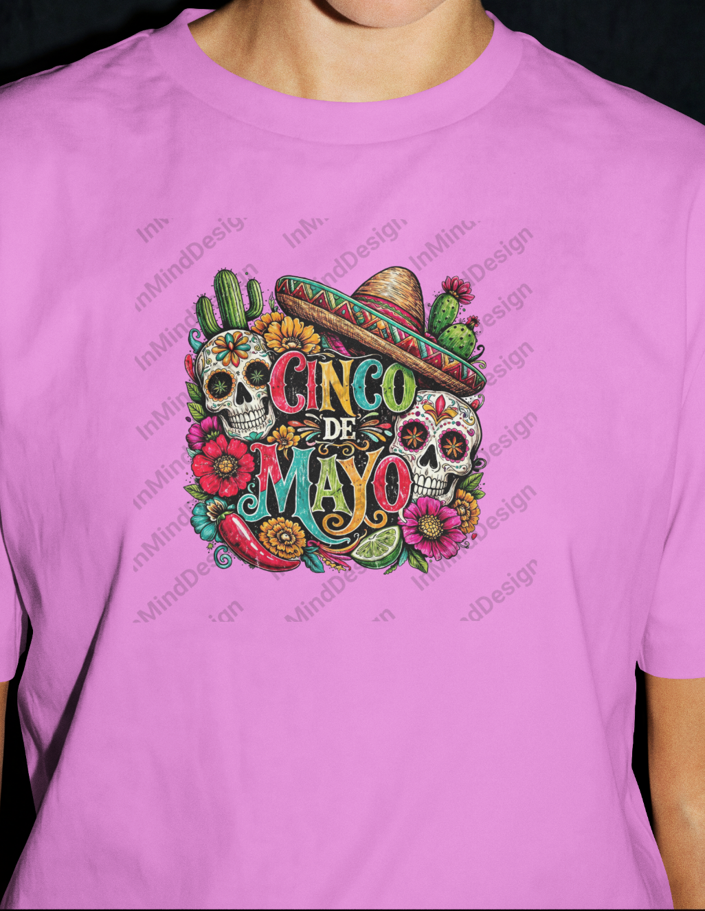 Cinco de Mayo Fiesta PNG