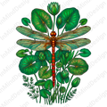 Vibrant Dragonfly PNG Digital Download
