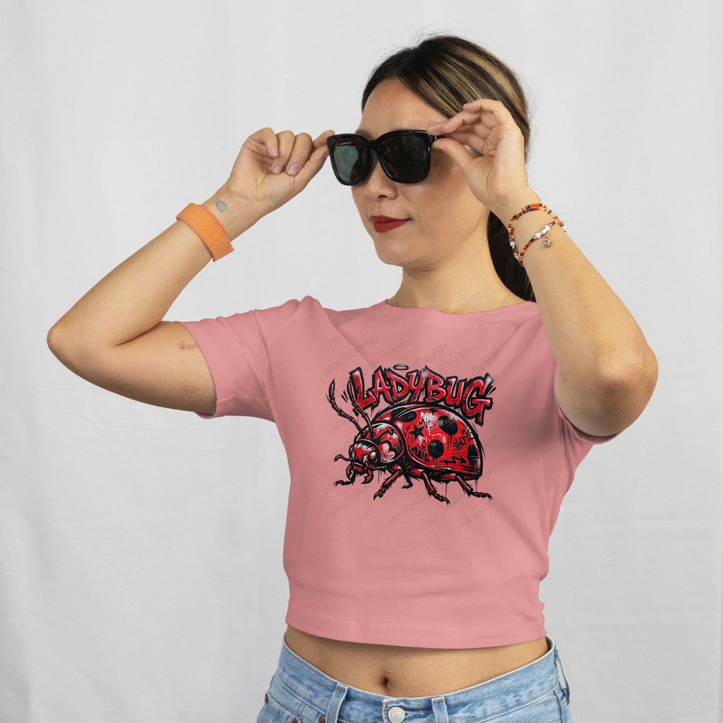 Graffiti Ladybug Digital Art PNG