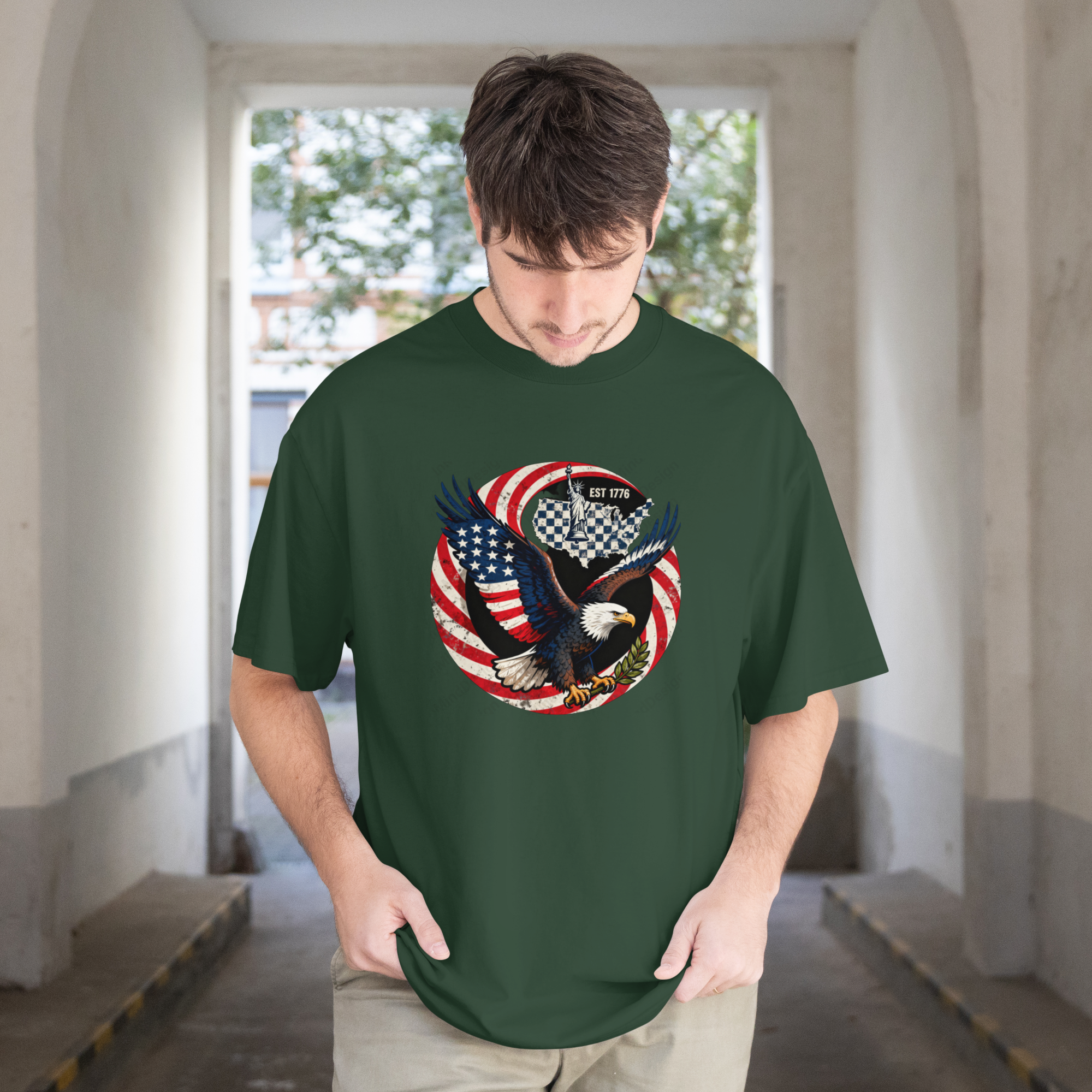 Bald Eagle Patriotic PNG