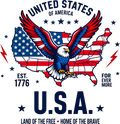 American Pride PNG